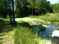 Lassen Sie die Seele baumeln und angeln Sie Ihr Abendessen!