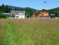 Hier fhlen und erleben Sie Natur und Entspannung - ganz nach Ihren Wnschen!